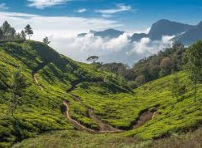 03 Nights Gangtok & 01 Night Lachung Tour