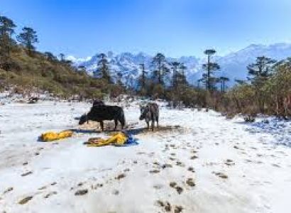 02 Nights Gangtok & 02 Nights Pelling Tour