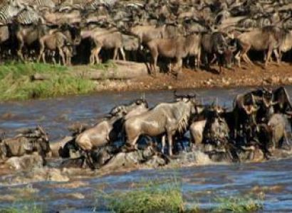 4 Days Masai Mara Lake Nakuru Safari
