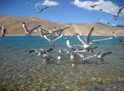 4 Nights & 5 Days Leh- Ladakh Tour