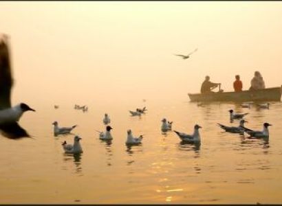 Sunrise Ganga Tour 1 Day Tour