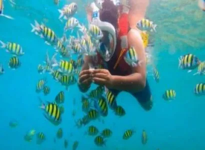 04 Nights - 05 Days Port Blair - Havelock - Neil Island Tour