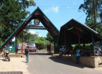 5 Days Marangu route - Mount kilimanjaro Climbing - Hiking - Trekking