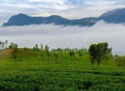 Mysore Ooty Scenic Nature Tour