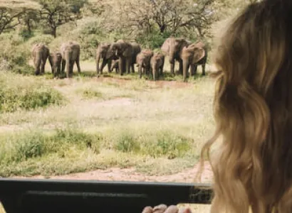 5 Days Tanzania Clasic Safari to Serengeti and Ngorongoro Crater