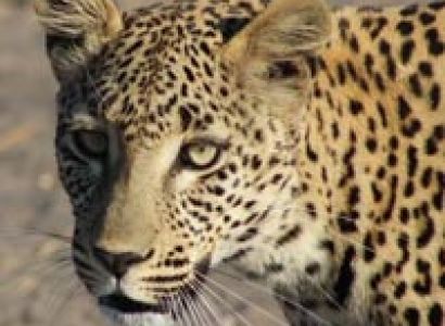 Golden Triangle Tour with Jim Corbett National Park