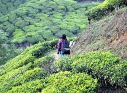 Kurangani Tour 1 Night / 2 Days