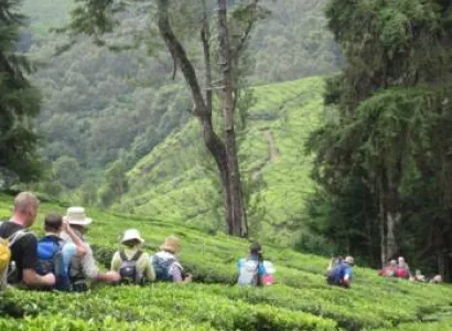 Megamalai Trekking Tour