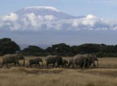 Tanzania Immersion - Northern Circuit Tour