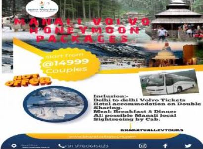3n/4d Delhi Manali Packages