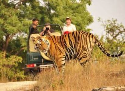 Jaipur Ranthambore Tour Package 4 Nights/5 Days