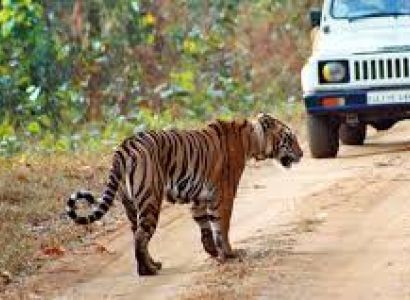 North East India Wildlife Tour