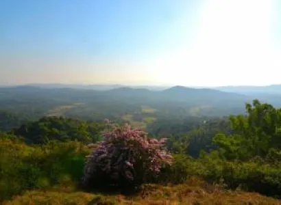 Best of Cochin with Ramada Kochi Resort - 3 Nights Ex Hyderabad