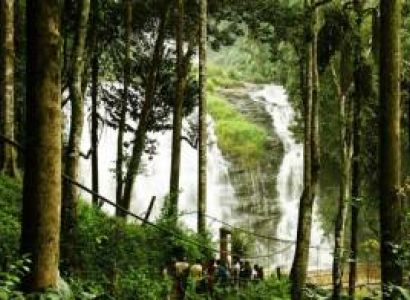 Mysore To Madikeri (Coorg) Tour