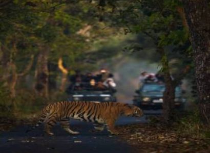 Nainital - Jim Corbett Tour Package