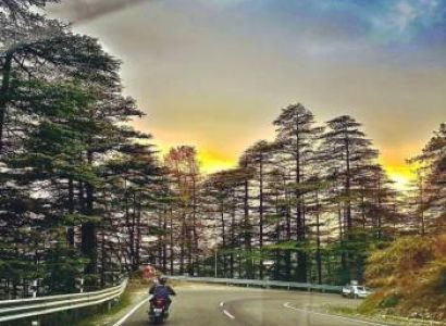 Shimla Summer Package (4 Nights/5 Days)