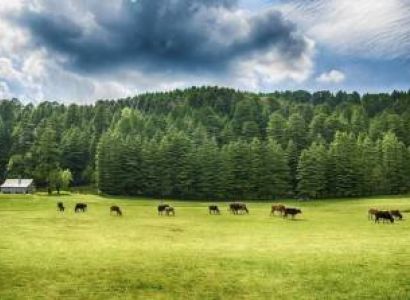 Delhi TO Delhi Dharamshala Dalhousie Khajjiar 3night 4Days