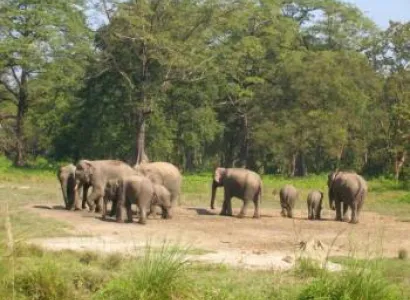 DOOARS PACKAGE TOUR PLAN FROM JALPAIGURI