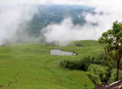 Bangalore-Mysore-Coorg-Waynad 7Days 6Nights Tour