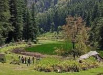 5 Days Rishikesh Mussoorie Tour - Adventure - Waterfalls - Hills