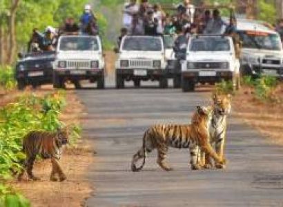 Student Ajmer Jim Corbett Tour