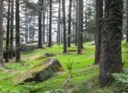 5 Days Budget Tour Kullu & Manali