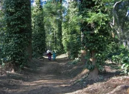 Mysore & Coorg Package