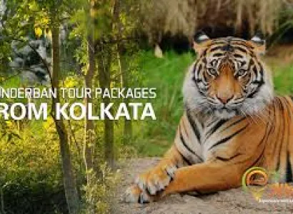3 Days Sunderban