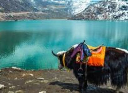 5 Days Bagdogra & Darjeeling Budget Tour Package