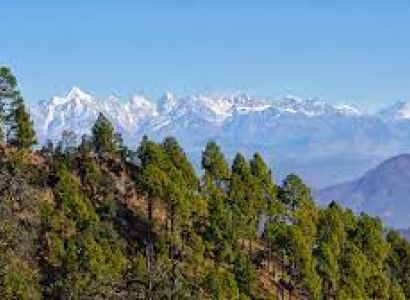Binsar Tour Package