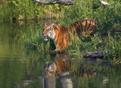Sundarban Tour Package 02 Nights 03 days