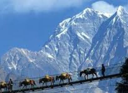 GANGTOK - PELLING - DARJEELING Tour