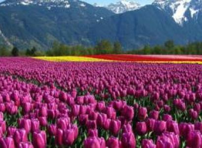 2 Days Kashmir Tour Package