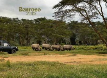 Great Rift valley Lakes and Maasai Mara safari