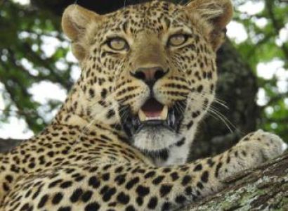 8 Days Northern Tanzania Expedition Tour