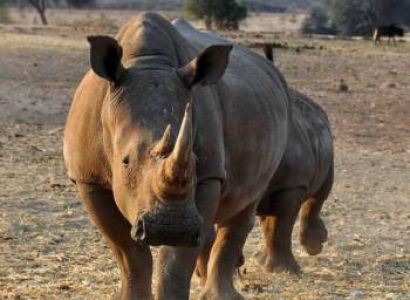 7 Days Tanzania Showcase With Serena Tour