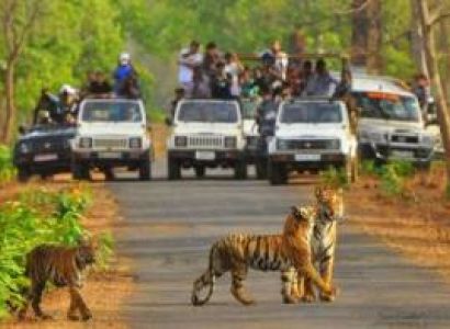 Sariska Weekend Adventure Tour