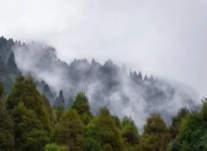 Sandkhphu Trip By Car Tour