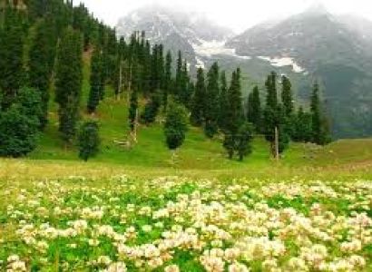 5 Nights Kashmir 1N Srinagar + 2N Pahalgam + 2N Gulmarg Tour
