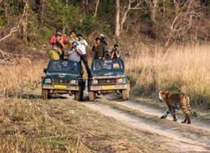 1 Night 2 Days Jim Corbett