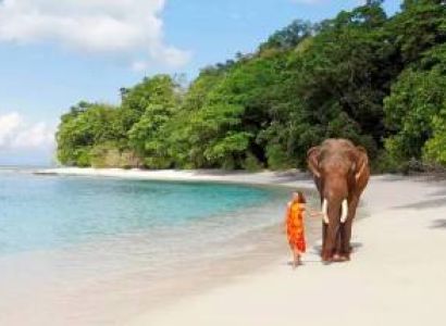 Port Blair Honeymoon Package