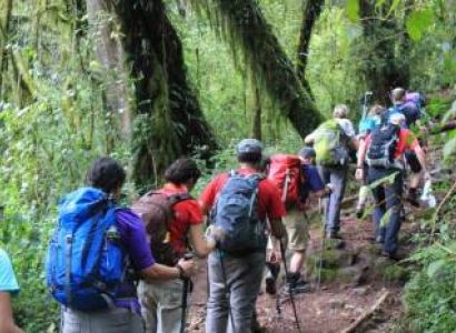 1 Day Kilimanjaro Hiking Experience