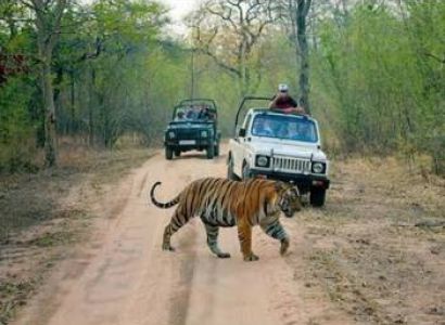 Jim Corbett Jungle Jeep Safari