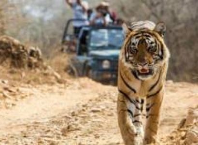 Uttarakhand Tour Package 5 Days 4 Nights Itinerary