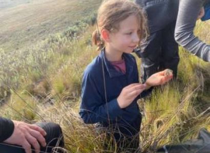 Two Days One Night Mount Kilimanjaro Climbing Via Marangu