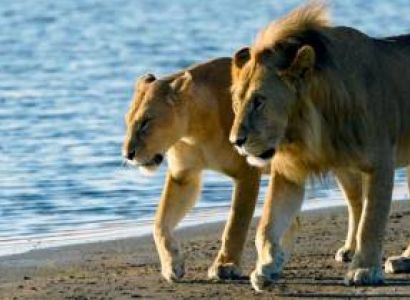 Dar-Saadani-Dar 3 Nights 4 Days Tour