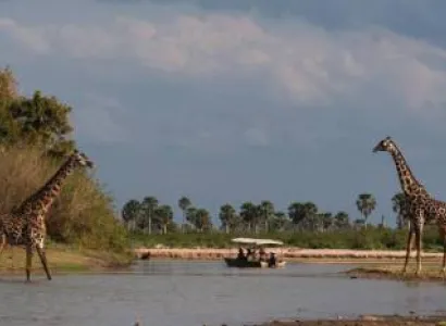 5 Day 4 Nights Safari Dar-Nyerere-Selous-Dar Tour