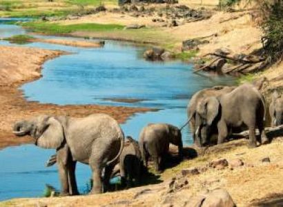10 Days 9 Nights Southern Tanzania Safari Tour