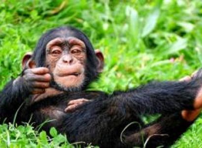 Northwestern Rwanda 4D/3N Budget Travel Package
