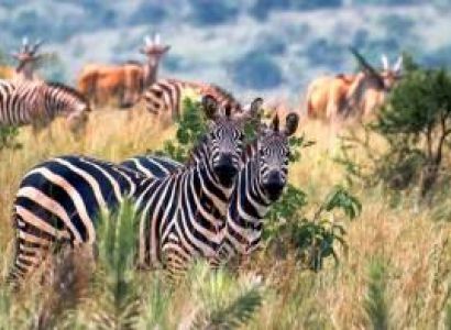 3 Days Budget Eastern-Rwanda Tour Package